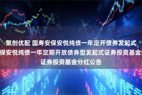 聚创优配 国寿安保安悦纯债一年定开债券发起式: 国寿安保安悦纯债一年定期开放债券型发起式证券投资基金分红公告